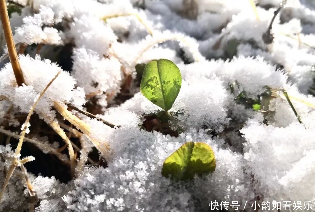 写意天池，童话天子山，一波云龙雪景美图来袭