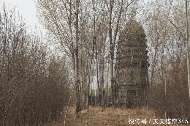 永安寺塔|访涿州辽代永安寺塔