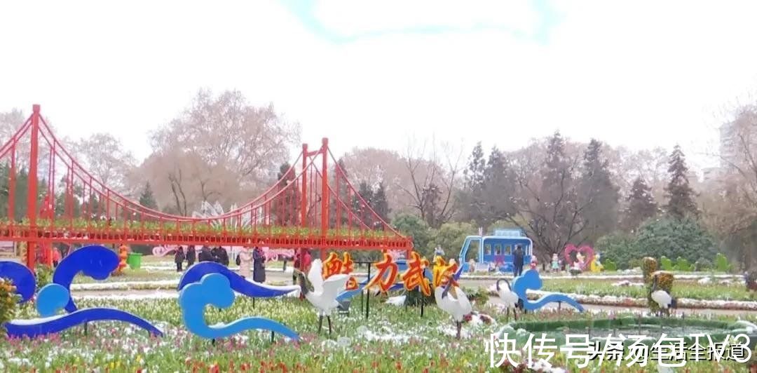打卡|踏春好去处！18万株郁金香竞相绽放等你来打卡