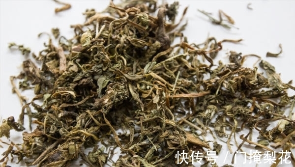 蒲公英泡水|蒲公英泡水并不适合每个人，2类人喝了会伤身，别再随便乱喝了