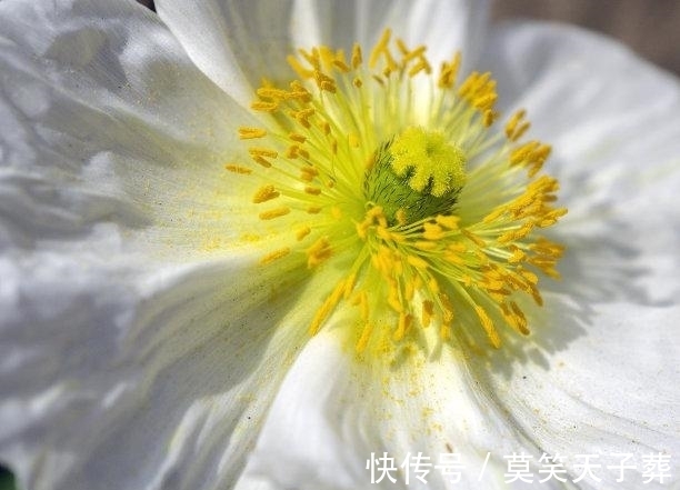 处女座|3天后，前任谅解，天赐良机，牵挂旧爱，心软原谅，希望再次复合