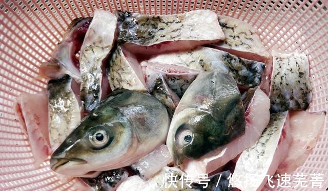 清洗干净|美味的(砂锅草鱼豆腐汤)!