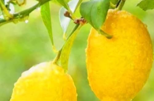 皱纹|女人不想老的快,脸上爬满皱纹,3种食物,淡化色斑,美容又养颜