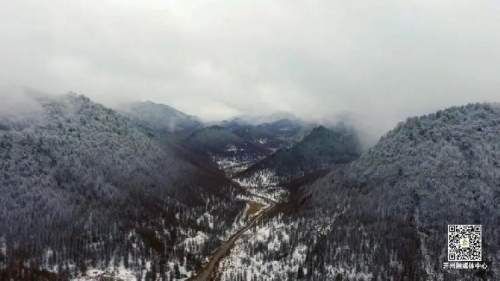 宝山|看雪啦！开州雪宝山化身雪域仙境