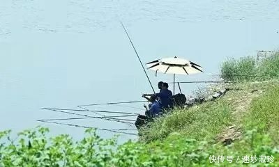 看花看海看风景！新安这个景区可钓鱼，居然还免费！