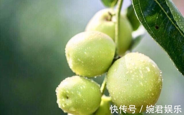 菠菜|想长寿不妨多吃4种食物,补充营养、滋补身体,好处多多!