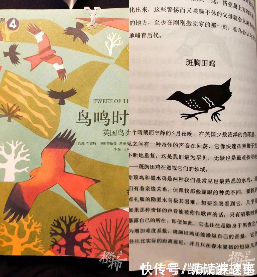 官方|小学生“叫板”农夫山泉，父母鼓励纠错，官方这样回答