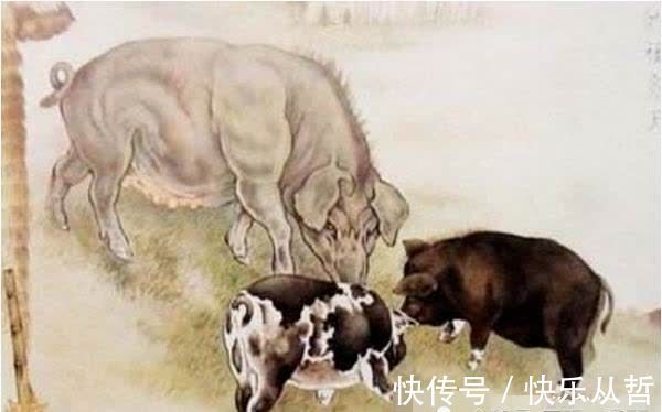 金猪|属猪人出生在这三个月，秒变“大金猪”，富贵运气一生无忧！