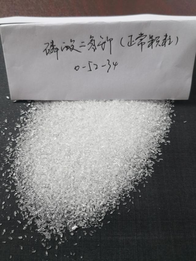 阳台养此2种花,开花量比“月季”还大,枝枝满花,耐旱又好养