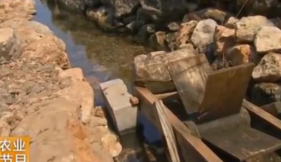 馒头|诸葛亮第五大发明:蜀国因此吃上饱饭,现在美国人用这项发明捕鱼