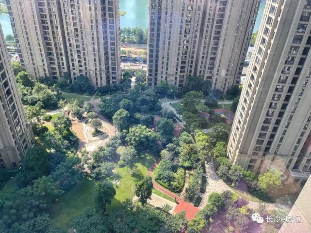 中国金茂|独家房源！金茂府143平大三居急售，总价343万！