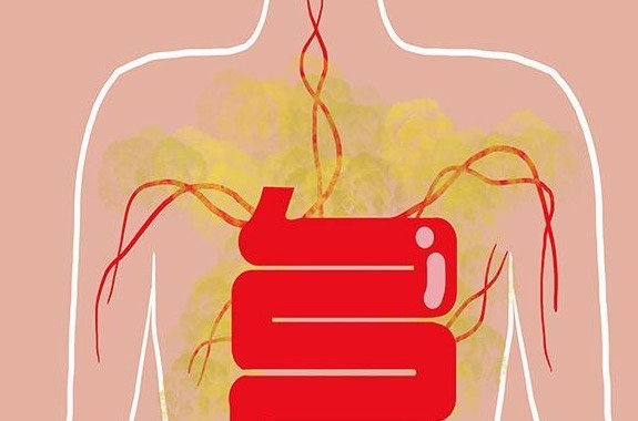 血型|A型B型O型和AB型血,各有什么优势为何说O型血是最强血型