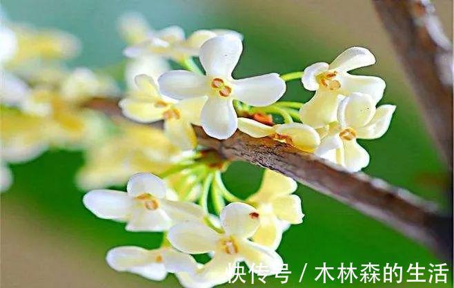 常备药|盘点那些“好用不贵”的家中常用药，性价比还很高！