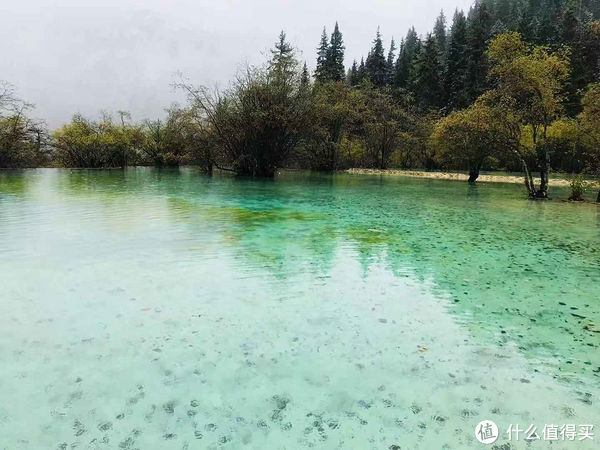 索道|旅记回顾｜被遗忘的人间仙境，2018年我去了“小九寨”牟泥沟