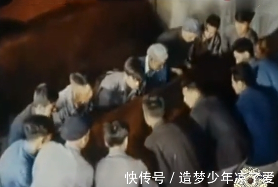 考古人员#直击1956年定陵发掘现场:代价惨痛、教训深刻,从此不再挖帝王陵