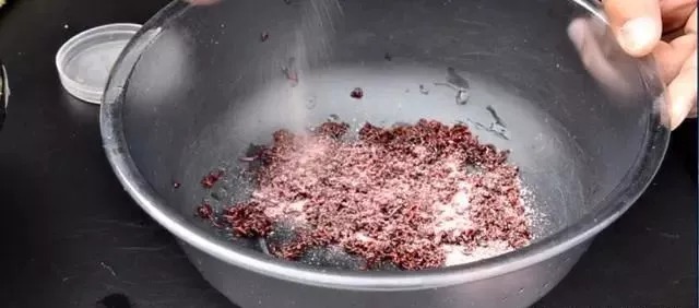 红虫|自制2种红虫伴侣,用一冬花不了10元钱,开饵效果还更好