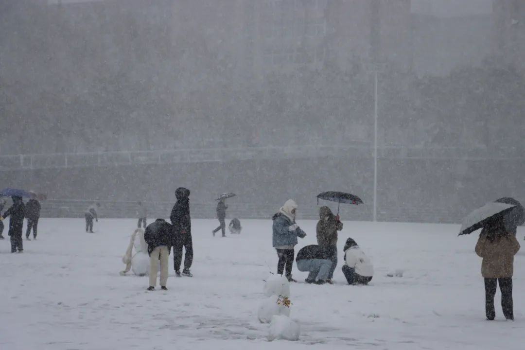 初雪|定格·山东商院的初雪