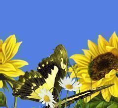 人心&良言20句,见证人心,看透人性看一次胜读十年书