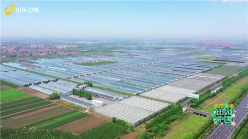 张文汇和|《田园中国》分享蔬菜之乡的成长故事