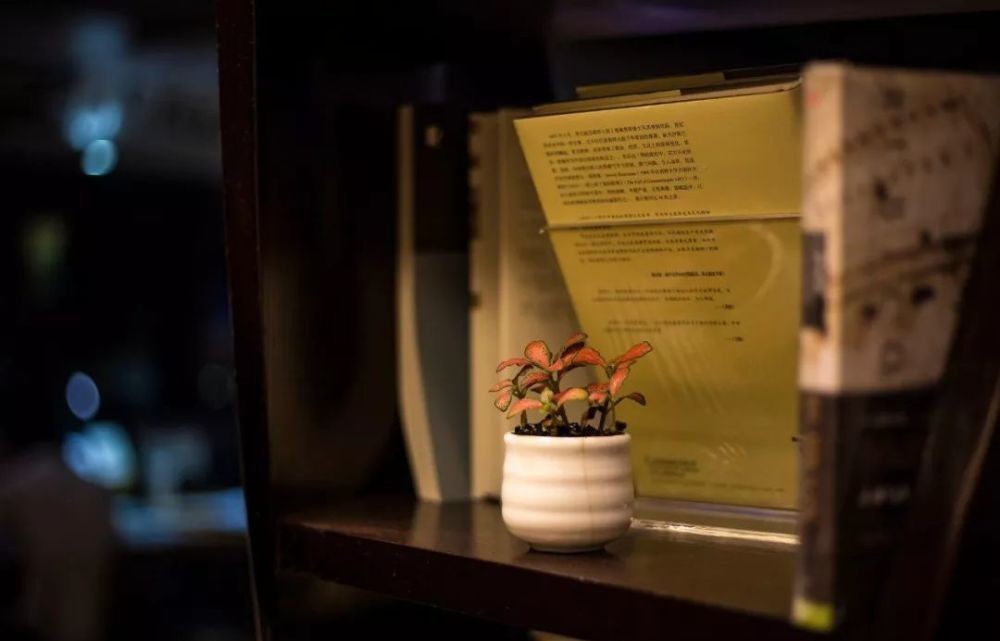 孙中山|宋庆龄:认真地年轻,优雅地老去