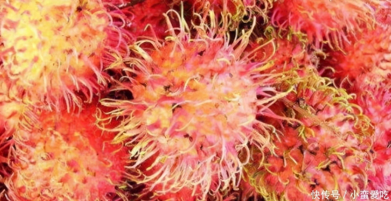 红毛丹|中年人推荐常吃3种食物,美容养生,延缓衰老,早吃早好!