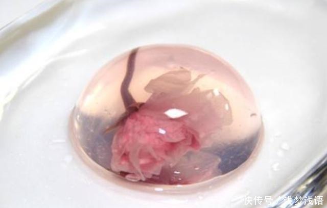 只适合拍照却很难吃的几种“网红食物”,别再被靓丽的外表欺骗了!