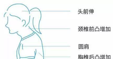 体态|不注意这几个体态问题，永远也不可能拥有好身材！