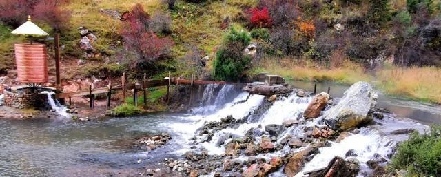 高原|这个地方被称为松潘高原，是西北高原的绿洲、扎营卢加草原、秀美牛羊成群的