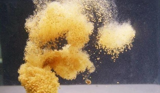 鱼情|户外作钓,几种常见的误区会让新手朋友栽跟头,希望没有说到你