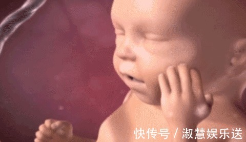 胎儿|除了睡觉，胎儿在妈妈肚子里干啥呢每个妈妈都应该看看