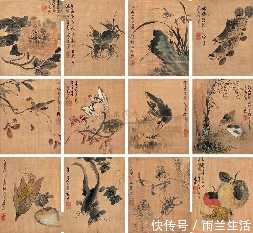 陈淳@与徐渭齐名,这个富二代的一花一世界!