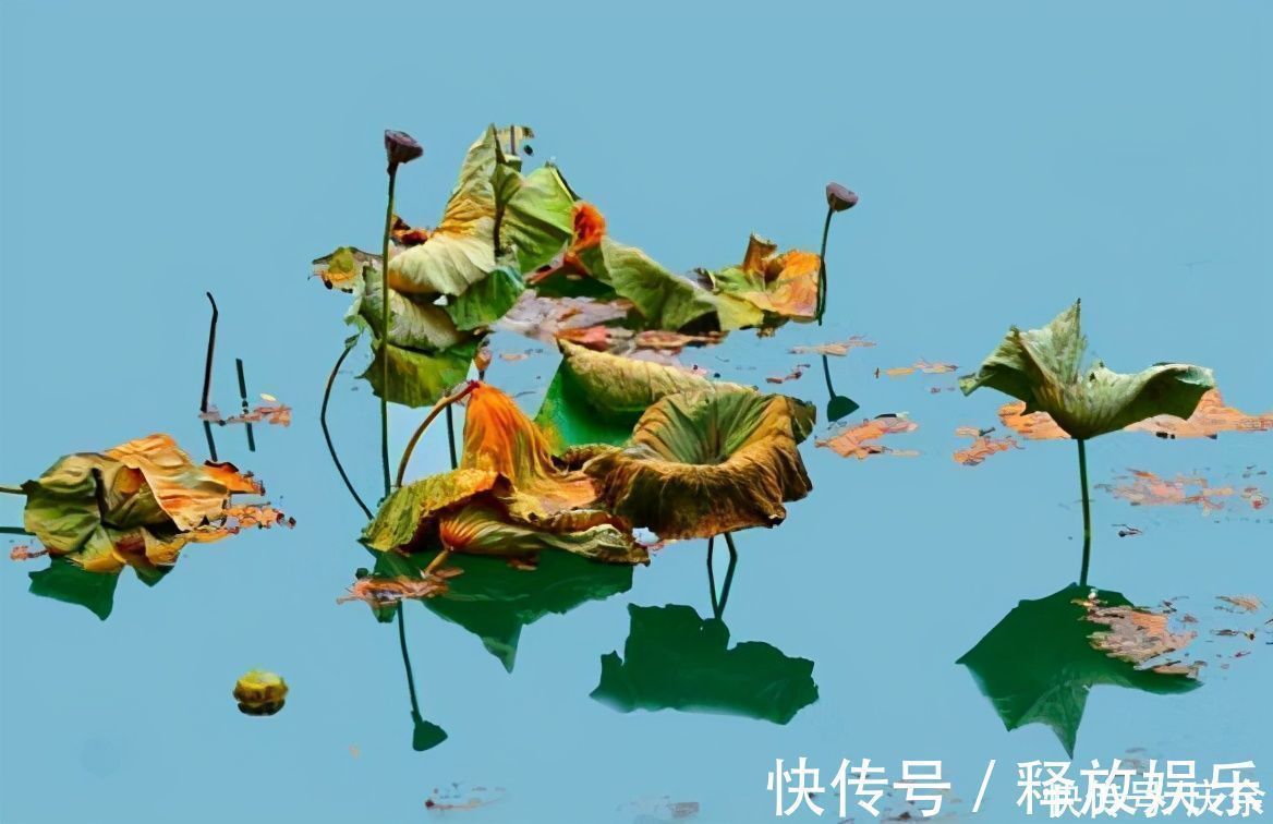 橙橘#苏轼很豁达的一首诗,短短28字,温暖了人心近千年