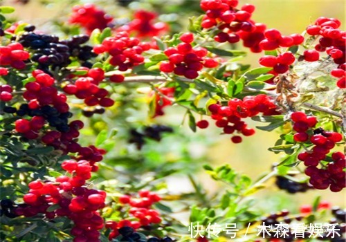 子宫|女性想要身体好，要坚持吃的食物，祛皱淡斑，预防子宫早衰