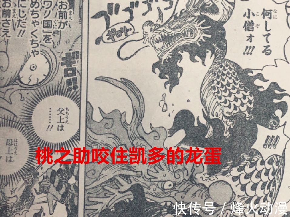 翻白眼|海贼王1026话:大蛇果然还没死,桃之助咬住了凯多的“龙蛋”?