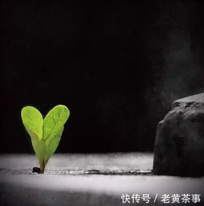 人体|为什么说在申时喝茶身体受益最大？