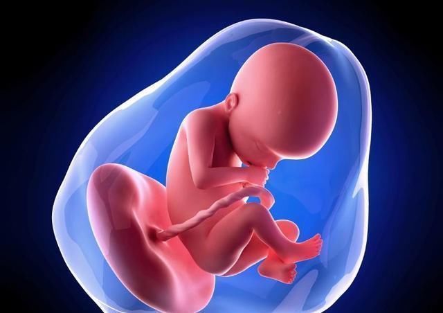 剖腹产|脐带绕颈是准妈妈“摸”出来的?别傻了,真正的原因只有这4个