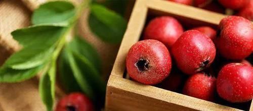 茄子|怀孕六个月的孕妈能吃鸡爪吗?为了胎儿健康,这些食物最好别吃