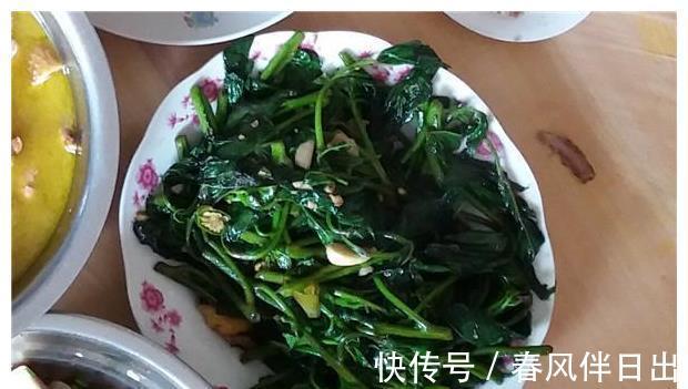 土鸡汤|带姐姐去男友家做客,男友特意做一桌菜招待,饭后姐姐让我快点嫁