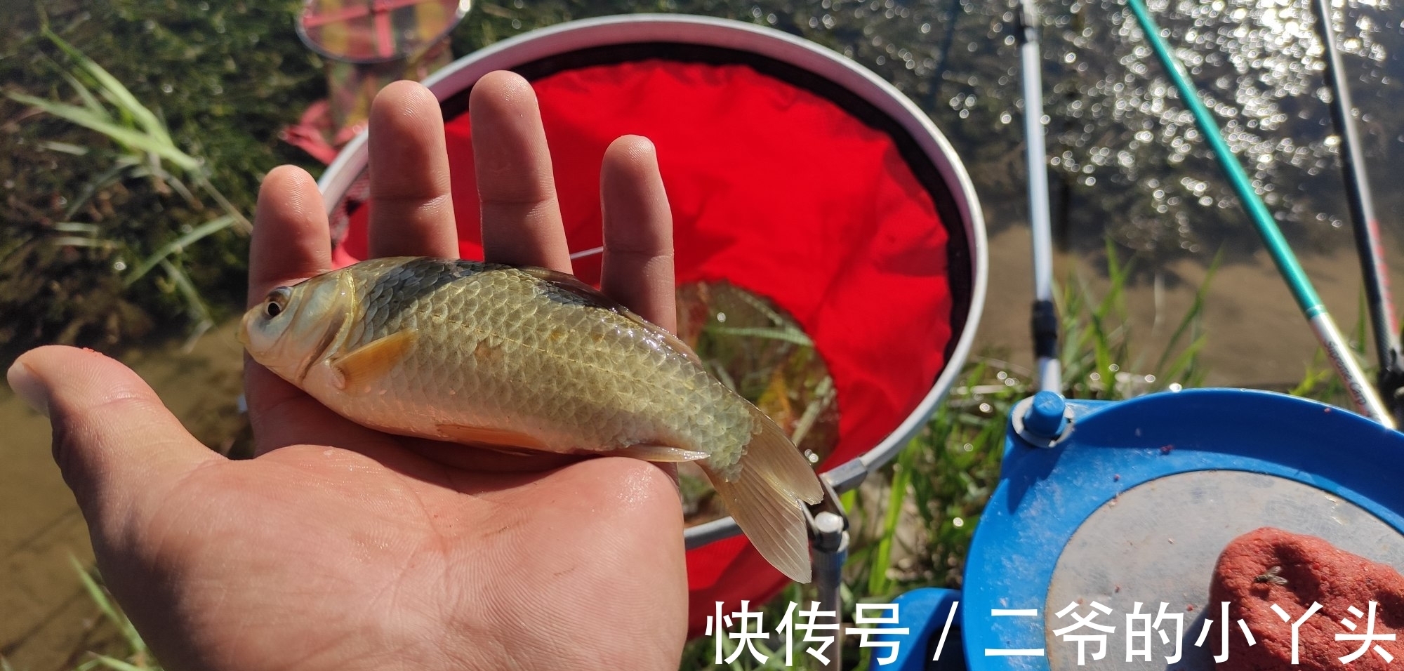 冬季鲫鱼都往深水跑，掌握这几种技巧，冬季也能连竿上鱼