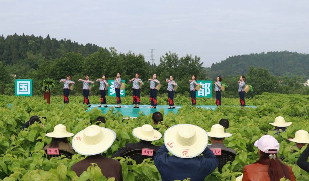 田园诗歌之乡@“中国田园诗歌之乡”再迎诗歌盛会 乐至田园诗会成诗人创作源泉