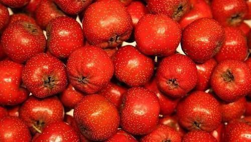 高血压|高血压的“克星”找到了,坚持每天吃点,净化血液,血压更稳定