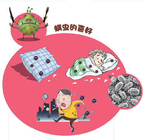 毛囊|枕头不清洁,百万螨虫陪你睡!只需一招,洗都不用洗,立刻变干净!