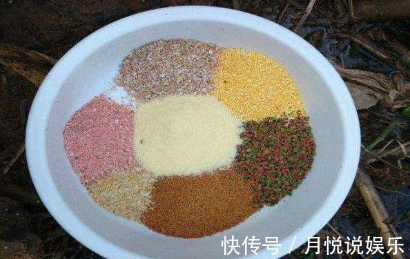 添加剂|野钓用饵是单开还是混合开这下终于明白了,难怪别人老爆护!