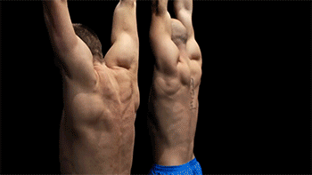 肱二头肌|关于正手vs反手引体向上，该怎么选择的问题，都有哪些肌肉参与？