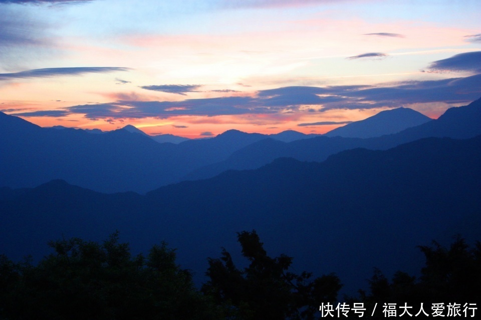 十几人|亚洲树王2300岁高龄，就在阿里山，需十几人才能合抱