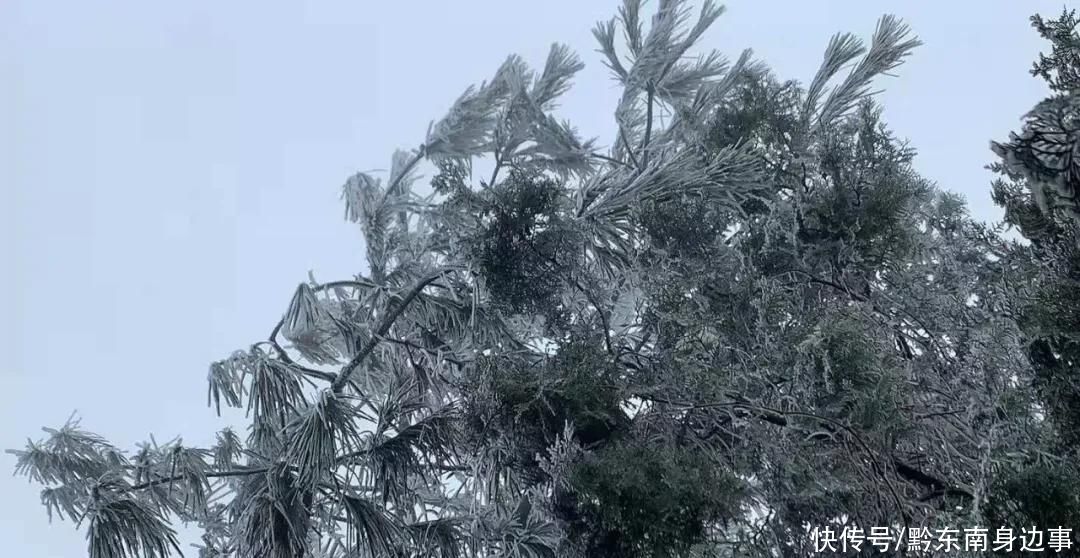 路段实施|凯里小高山一夜白头 最美雪景如约而至