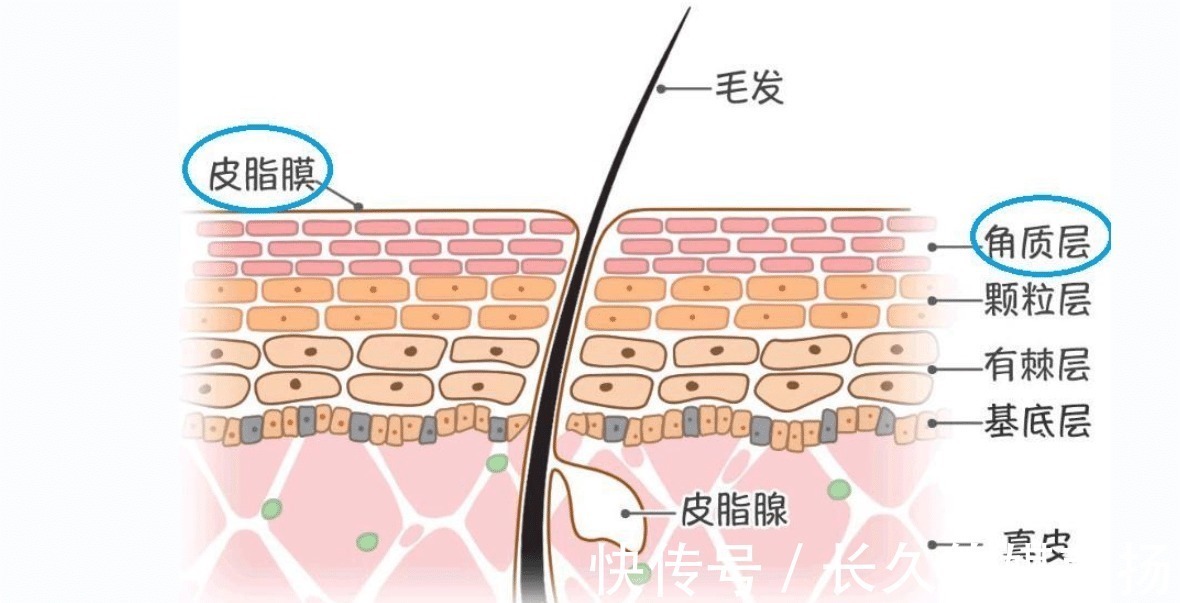 防晒值 女人涂防晒霜要牢记3个“不要”，不然涂了也白涂！很多人忽视了