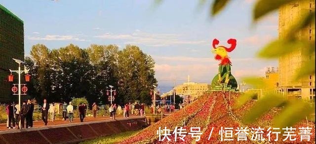 旅游|山丹旅游 ▏绚烂花海 如约而来！