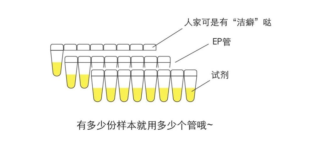 核酸|核酸的检测有多麻烦？看完都不好意思催结果了