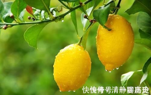 血管|58岁男子,甘油三酯从20到1.7,专家:一种食物经常吃,血管自清